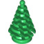 Spruce Tree, Small