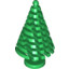 Spruce Tree H64