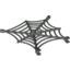 Spider\U0027S Web
