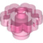 Flower Transparent