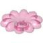 Icon: Daisy, Large - Polished