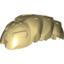 Bion. 1.7.2003, Worm