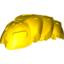 Bion. 1.7.2003, Worm