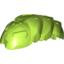 Bion. 1.7.2003, Worm