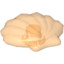 Icon: Seashell, L. 14Mm
