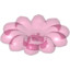 Icon: Daisy, Large - Pol. 3""