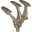 Voodoo Claw