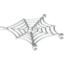 Spider\U0027S Web