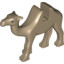 Camel No.1""