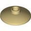 Satellite Dish 16