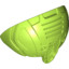 Round Shell Detail