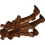 Shell With 3 Claws 5X8X2