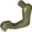 Animal No 3,Fore Leg Leftno1""