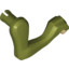 Animal No3,Fore Leg Rightno1""
