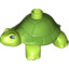 Turtle, Dec.