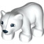 Polar Bear Cub, Dec.