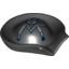 Big Pirate Hat No.1""