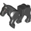 Animal No.11 Ass. No. 4