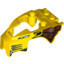 Top Shell, No. 1 4,85 No. 2""