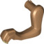 Animal No 3,Fore Leg Leftno2""