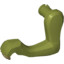 Animal No 3,Fore Leg Leftno1""