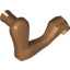 Animal No3,Fore Leg Rightno2""