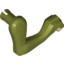 Animal No3,Fore Leg Rightno1""